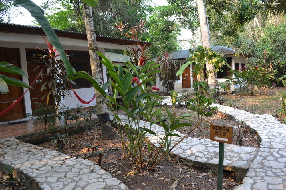 Hotel Jaguar Inn Τικάλ Εξωτερικό φωτογραφία